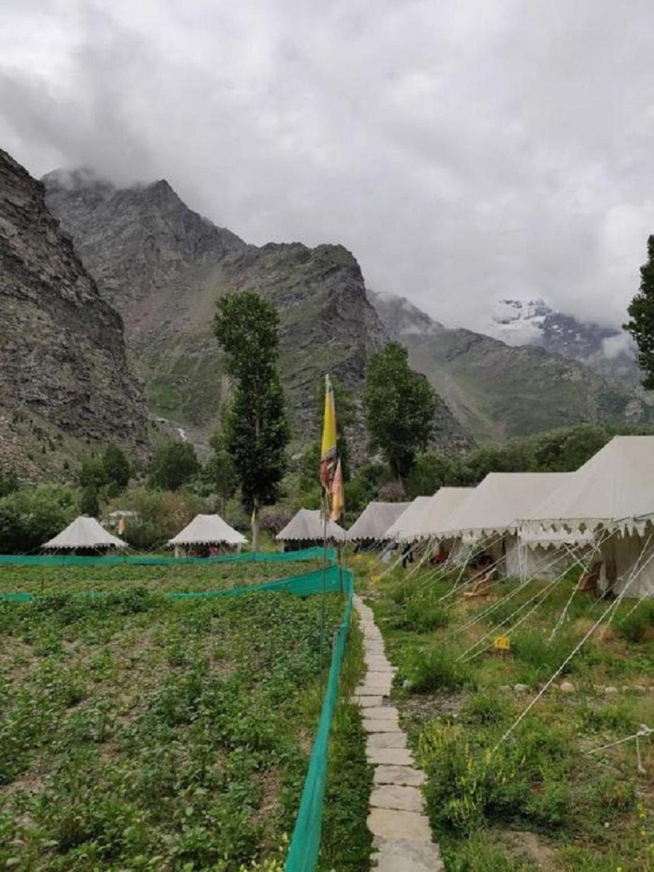 Jispa Journey Camp Lahoul & Spiti Manāli Eksteriør billede